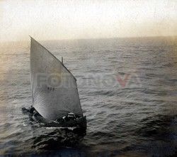 FOTONOVA
