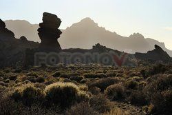 Teneryfa