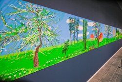 David Hockney nie żyje