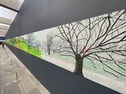 David Hockney nie żyje