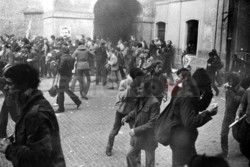 FOTONOVA