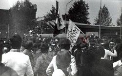 FOTONOVA