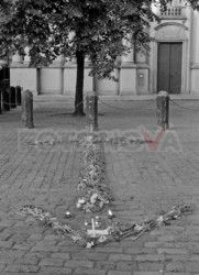 FOTONOVA