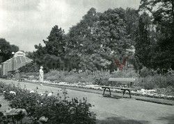 FOTONOVA