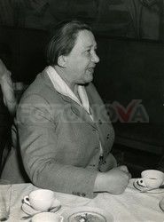FOTONOVA