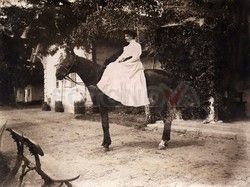 FOTONOVA