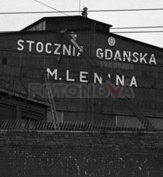 FOTONOVA