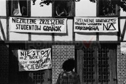 FOTONOVA