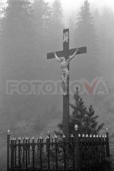 FOTONOVA
