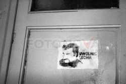 FOTONOVA