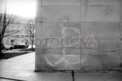 FOTONOVA