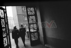 FOTONOVA