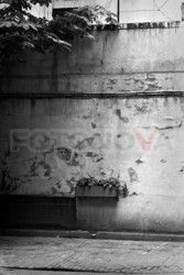 FOTONOVA