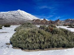 Pico Del Teide w śniegu