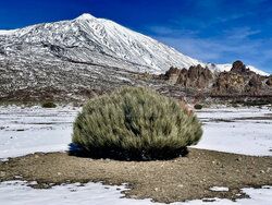Pico Del Teide w śniegu