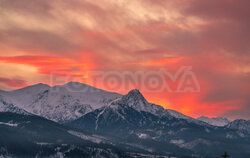 Fotonova - arch