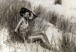 FOTONOVA