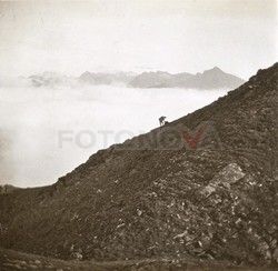 FOTONOVA