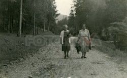 FOTONOVA