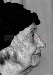 FOTONOVA