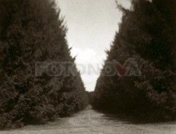 FOTONOVA