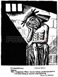 FOTONOVA