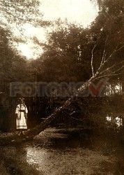 FOTONOVA